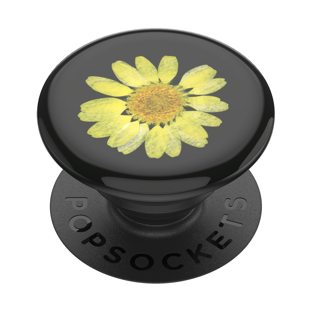 PopSockets Pressed Flower Yellow Daisy